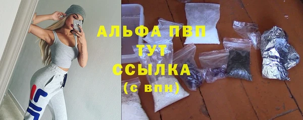 прущие крисы Алексеевка