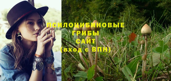 a pvp Алзамай