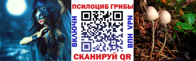Галлюциногенные грибы MAGIC MUSHROOMS  Кострома 